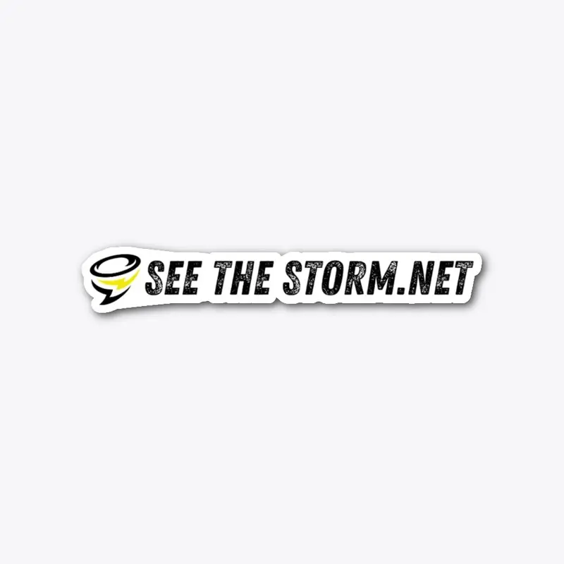 SeeTheStorm Logo